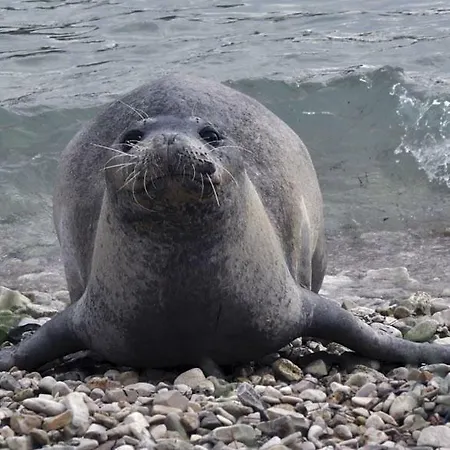 Lusyhouse 度假居 普拉