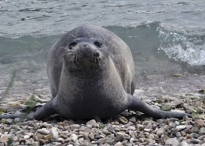 Lusyhouse Casa de Férias Pula